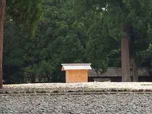 IMG_2493_R