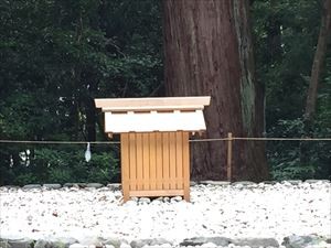 IMG_2495_R