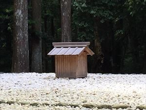 IMG_2502_R